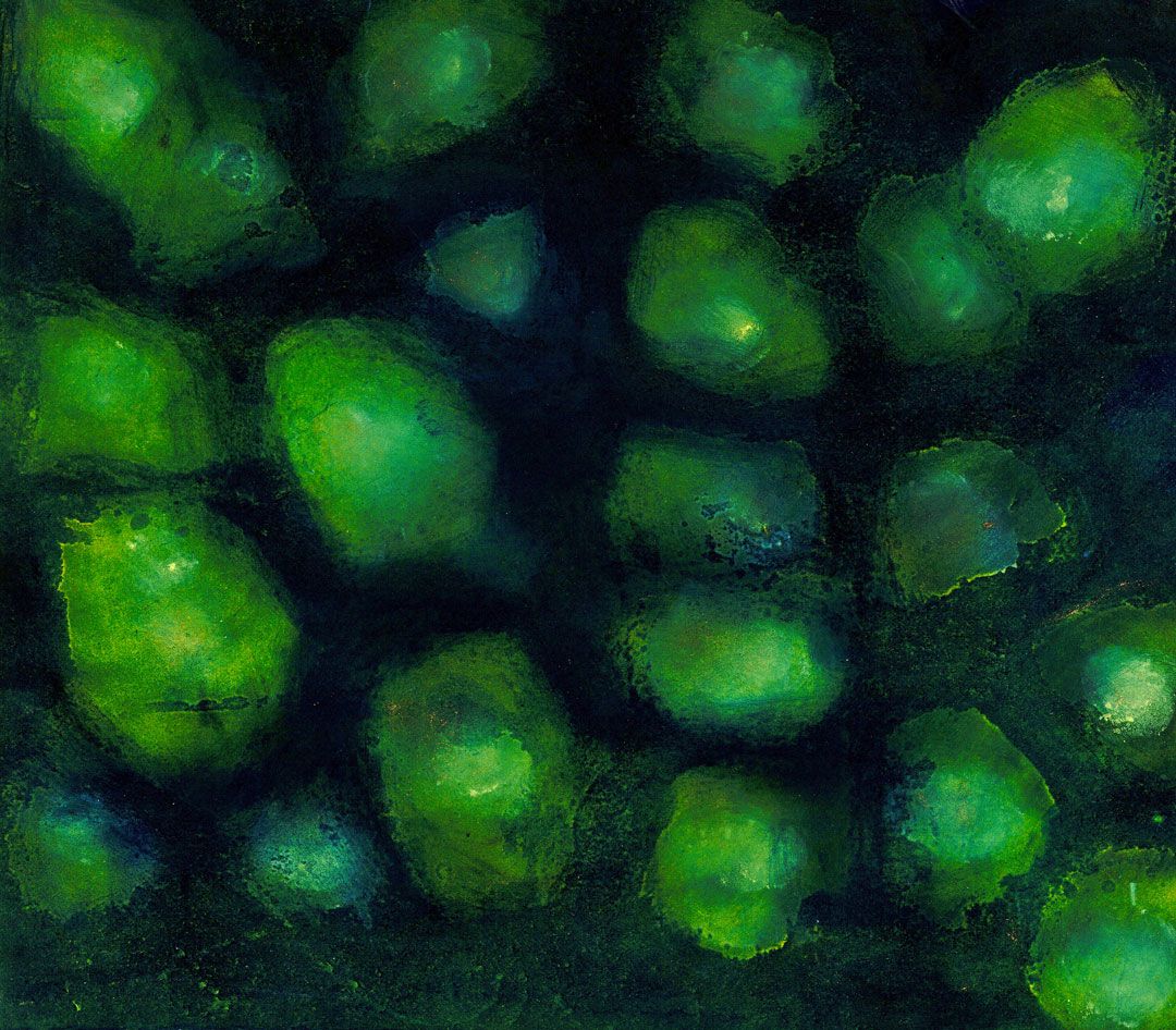 Boîte lumineuse N°1 40 X 40 Verre